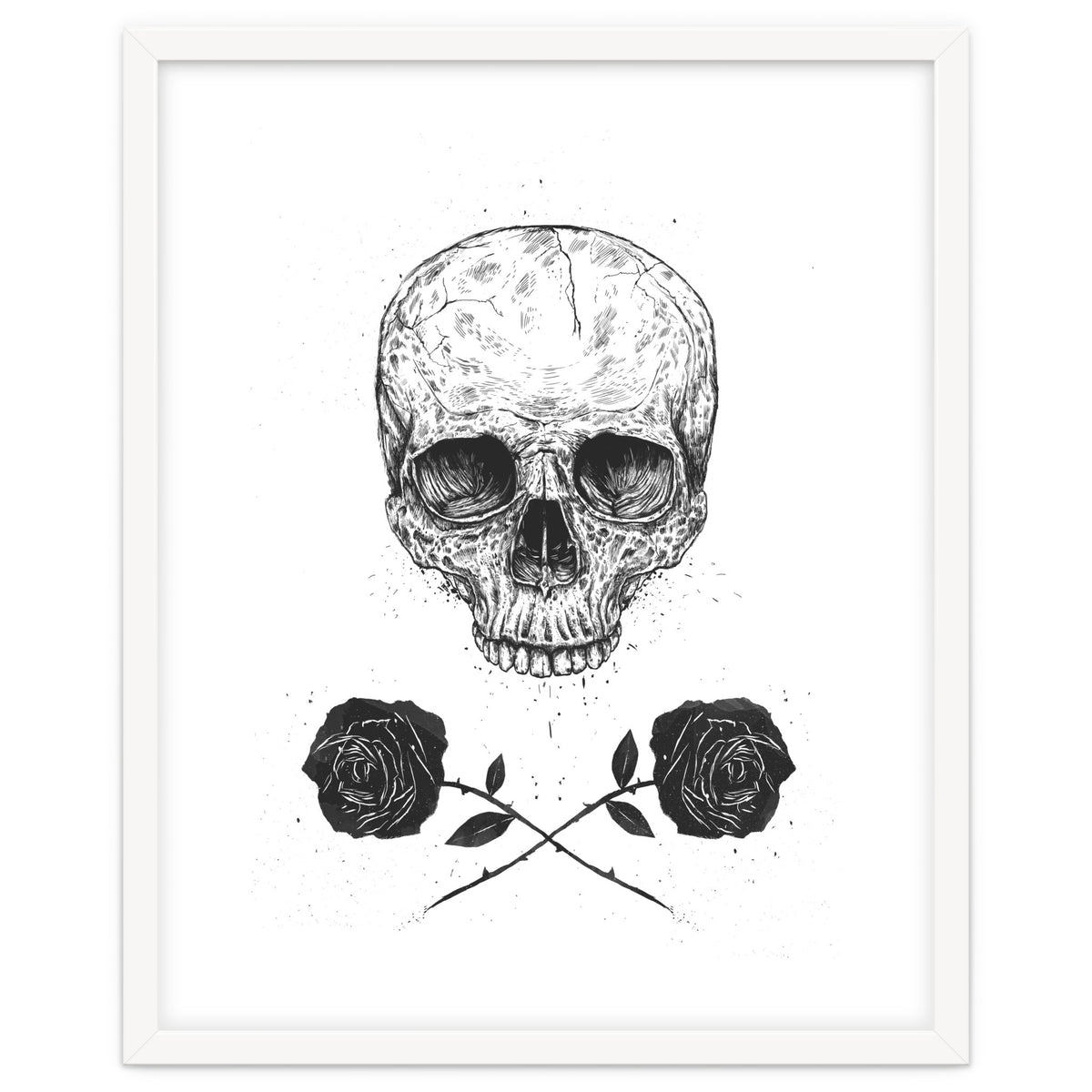 Skull N Roses