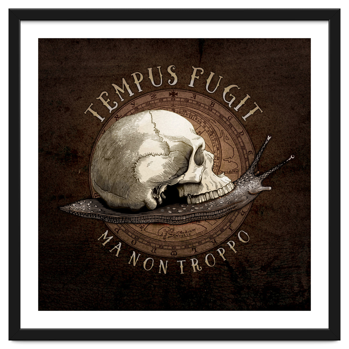 Tempus Fugit (ma non troppo)
