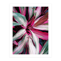 fiore red (Print Only)