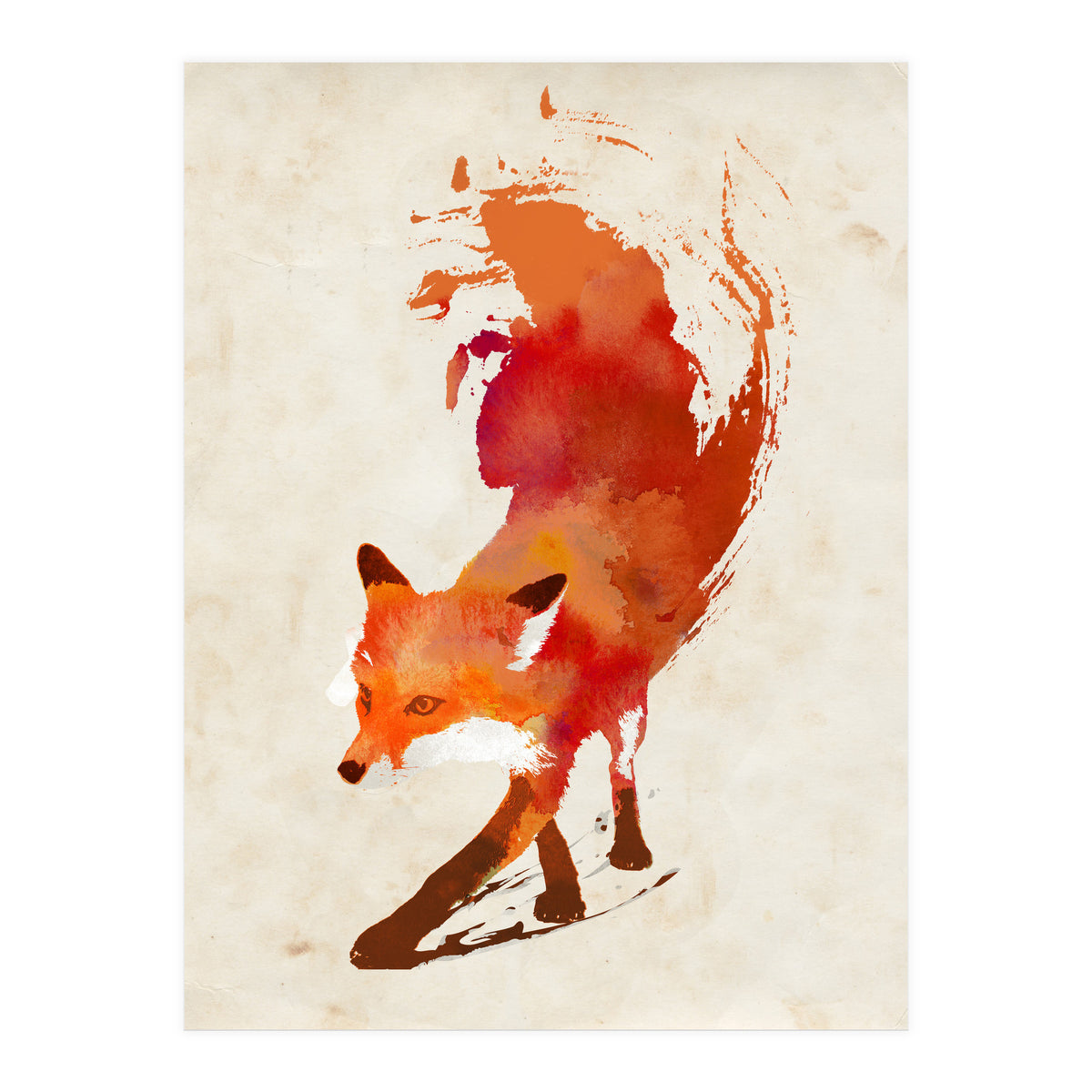 Vulpes Vulpes (Print Only)