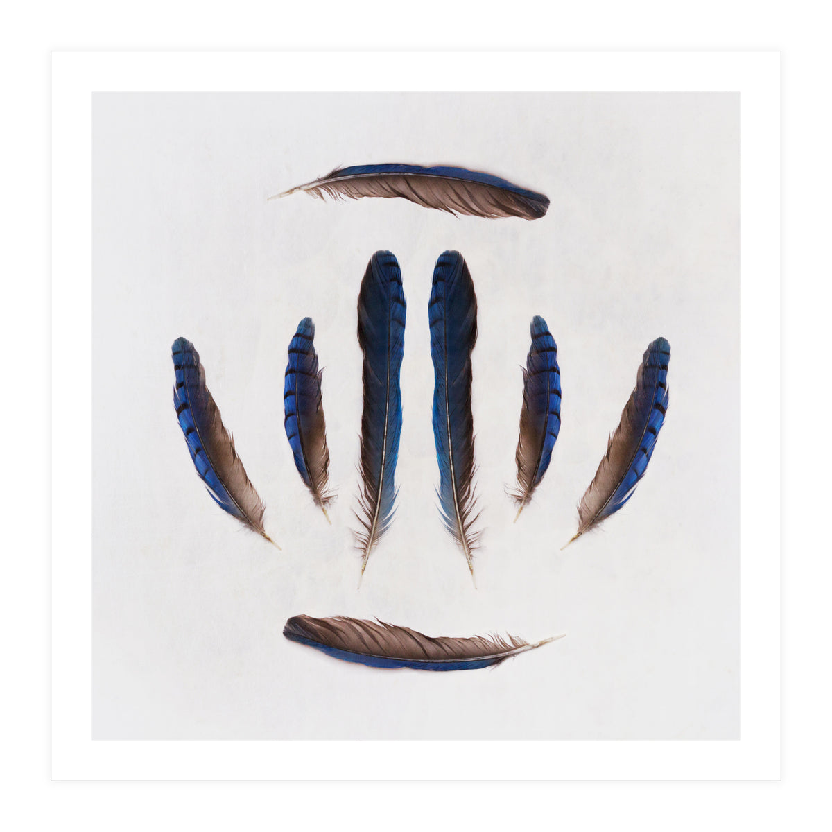 Forgive Me For Forgetting (Print Only)