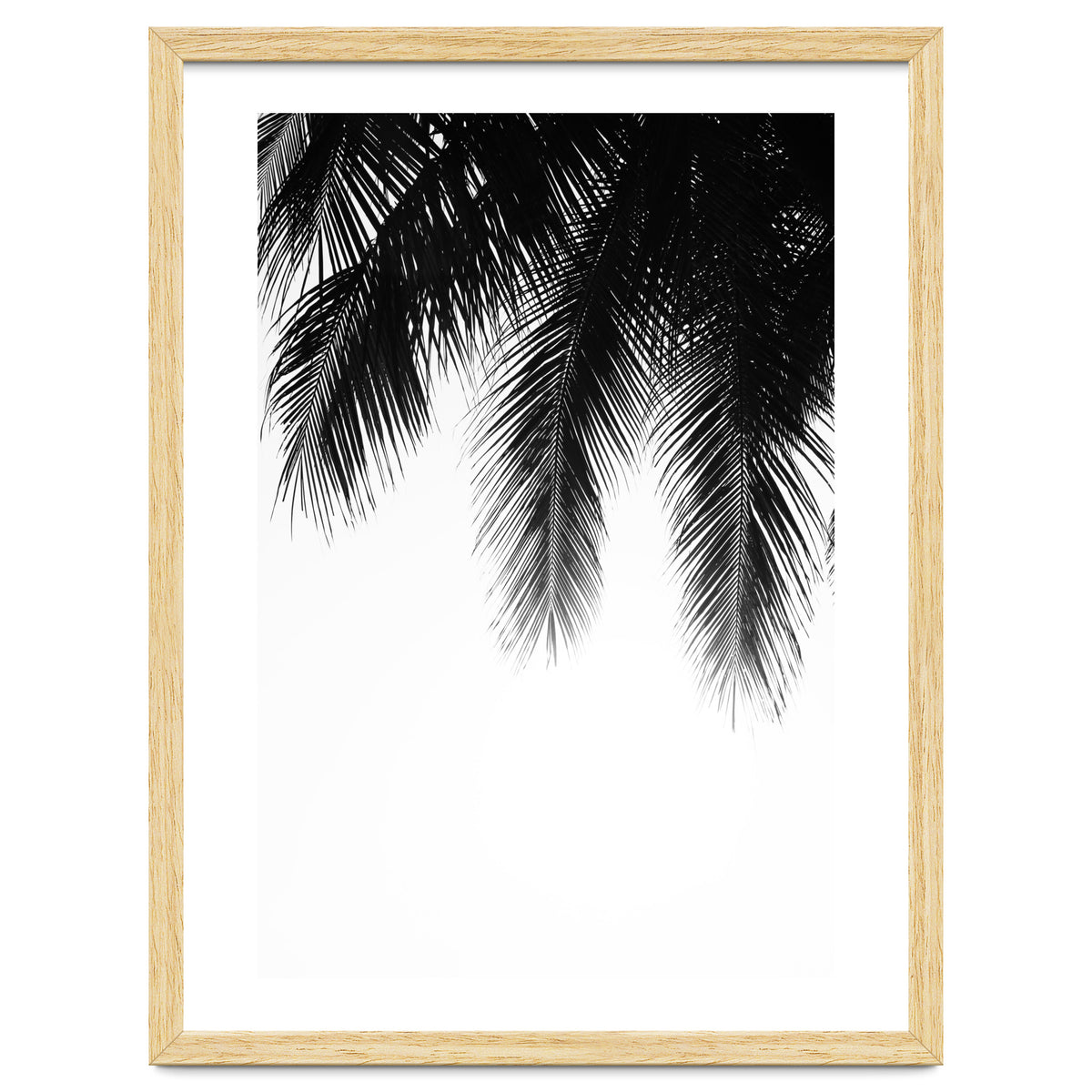 Palm leaves