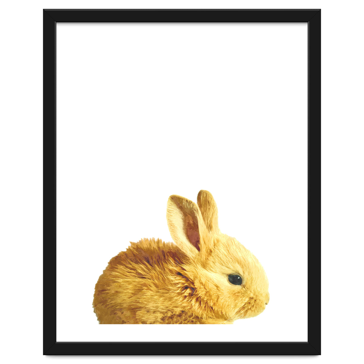Bunny Portrait