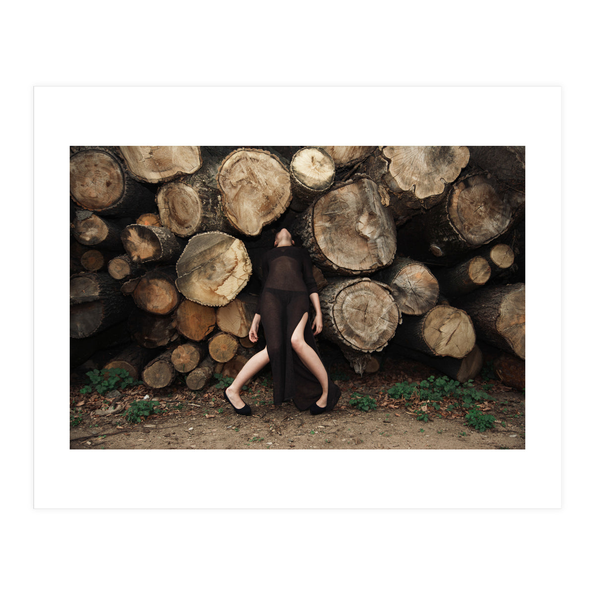 Slow Dancing Society (Print Only)