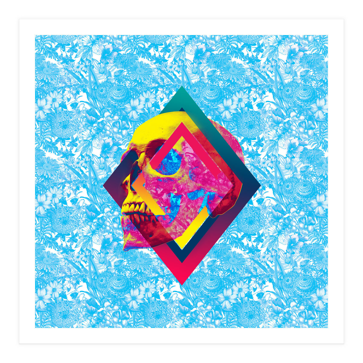 Lifeful Skull  (Print Only)