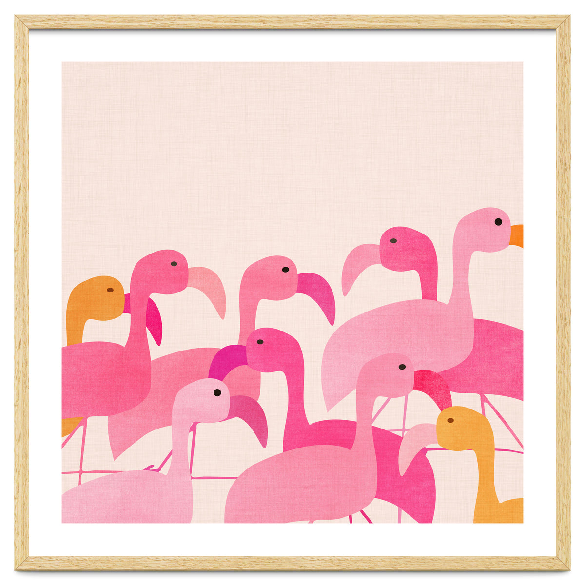 Florida Flamingos