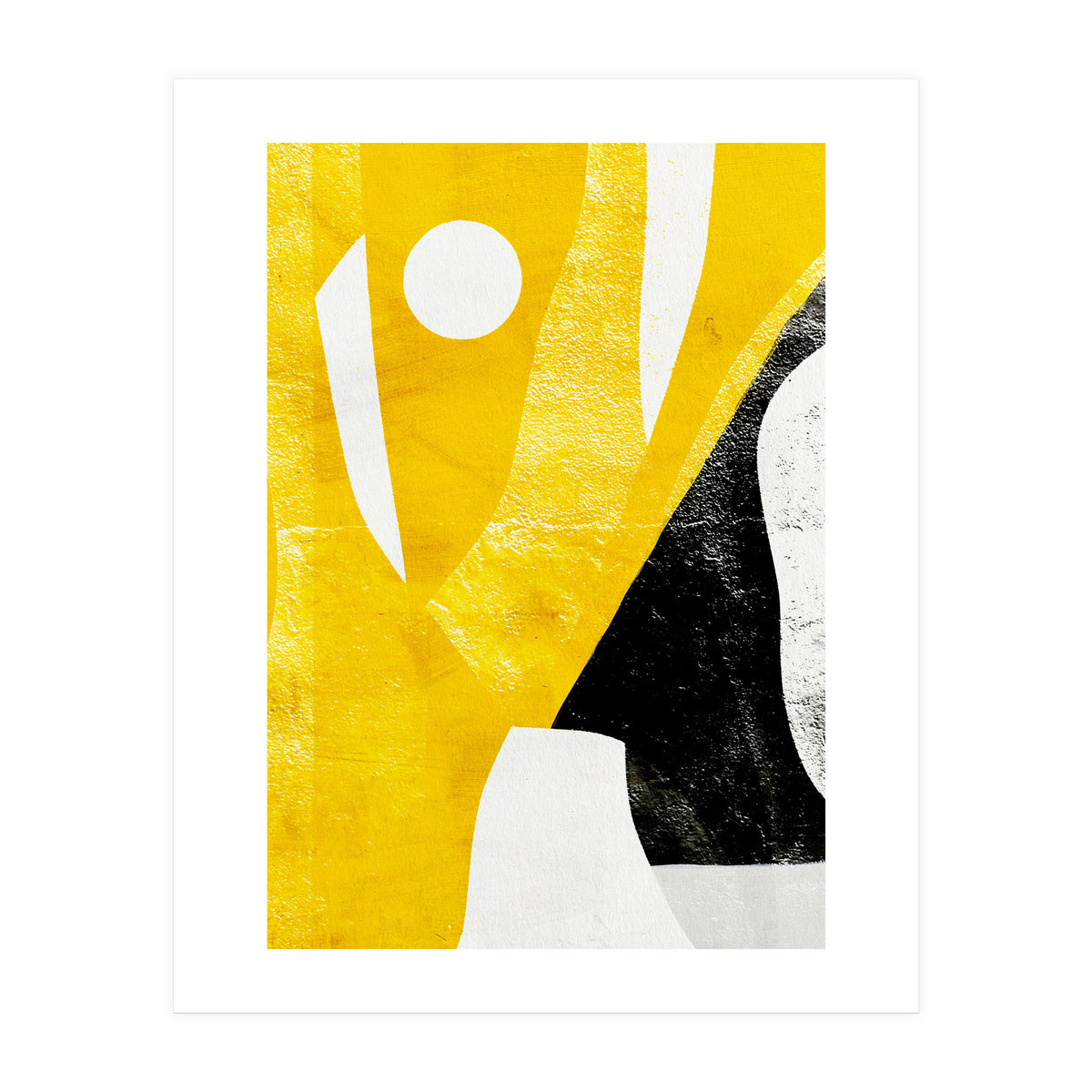 Coiote 2 (Print Only)