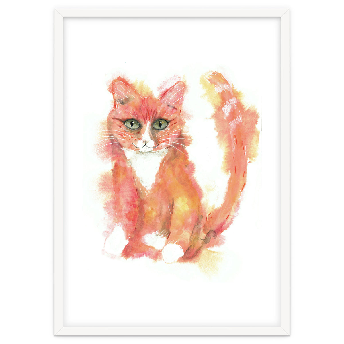 Orange tabby  cat