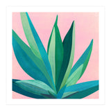 Southwest Agave (Print Only) thumbnail