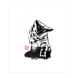 Washing cat (Print Only) thumbnail