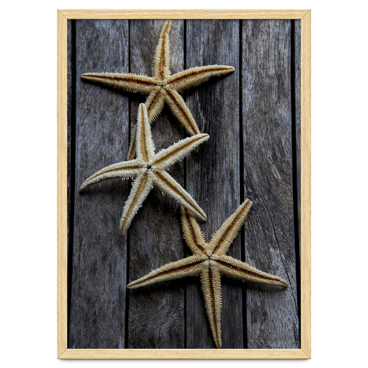 Starfishes in wooden