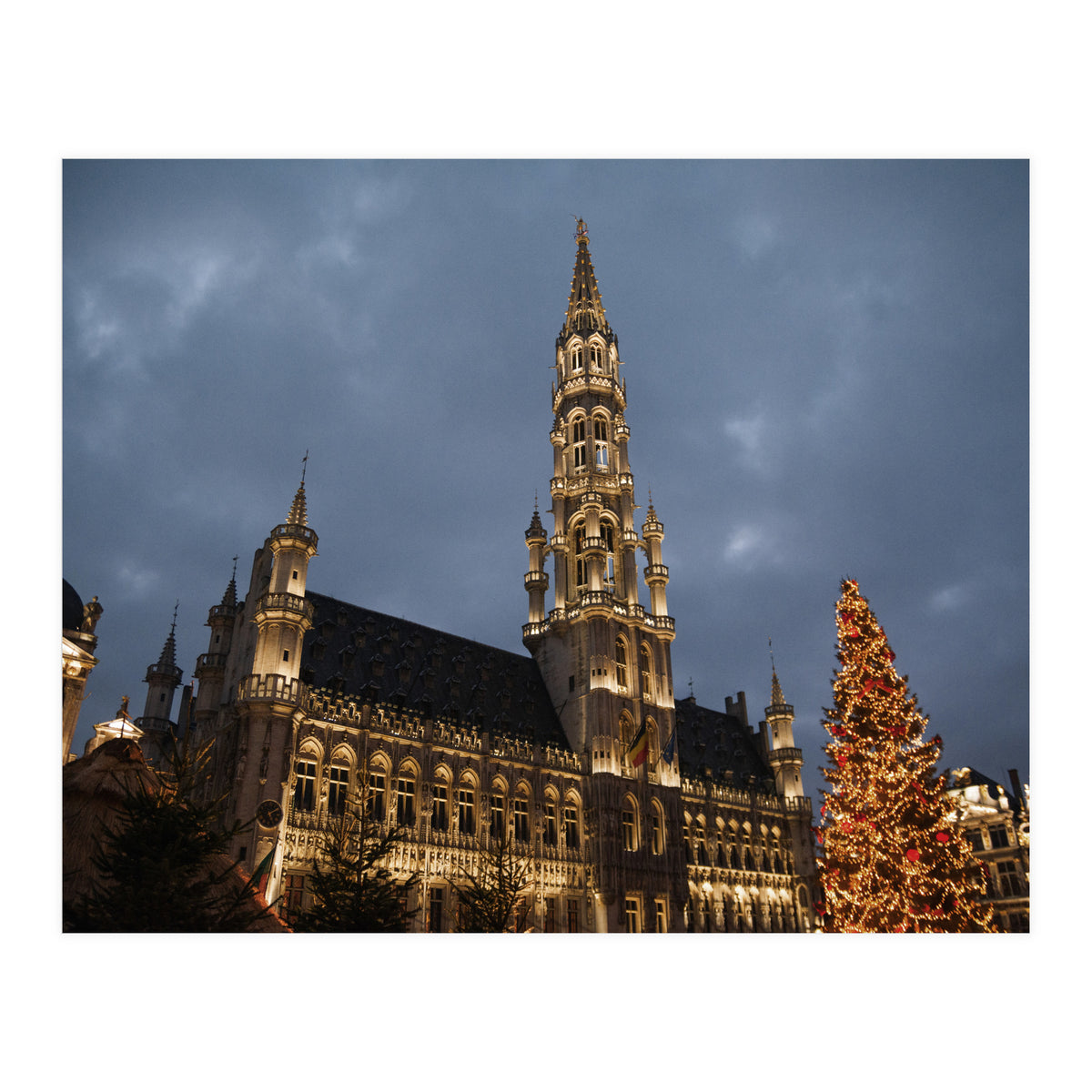 Home Alone (Print Only)