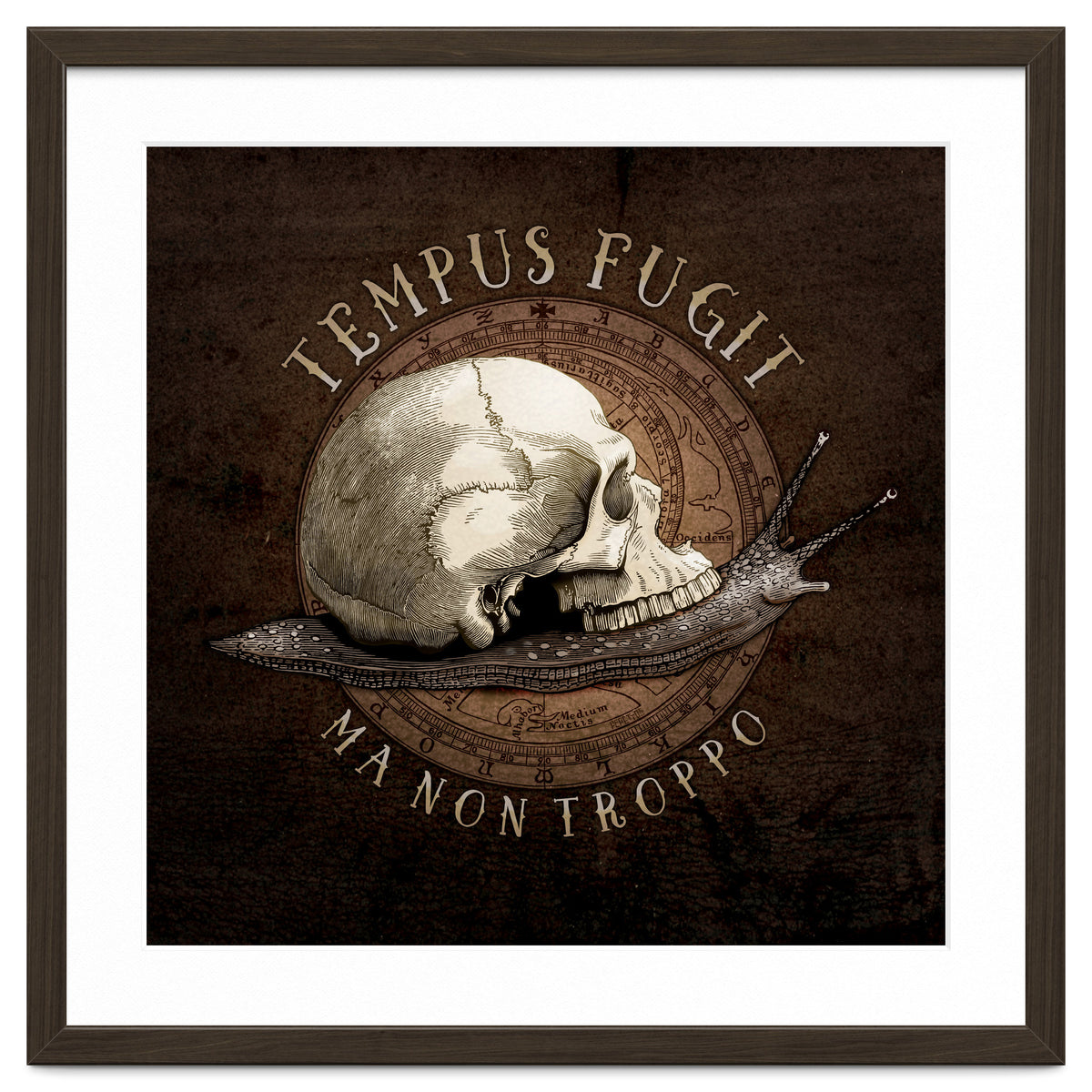 Tempus Fugit (ma non troppo)