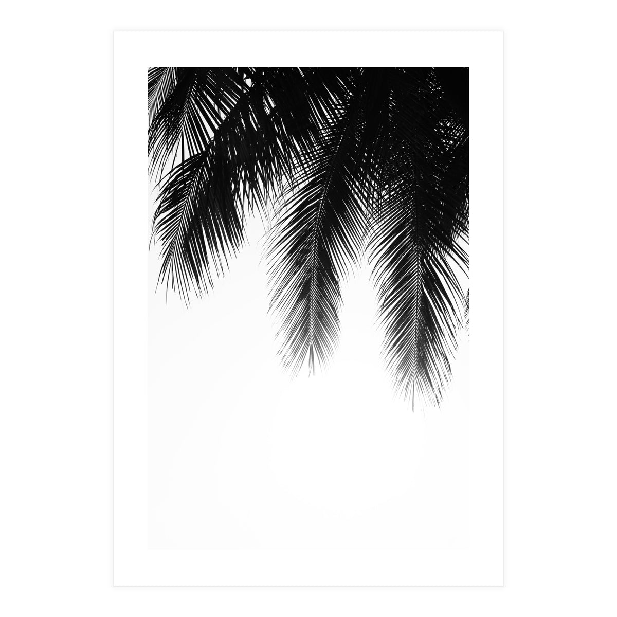 Palm leaves (Print Only)
