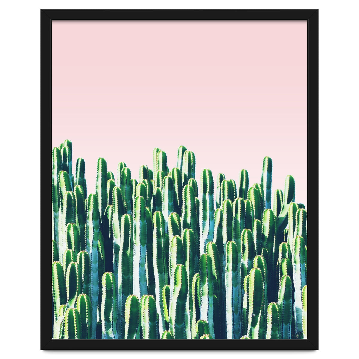 Cactus & Sunset I