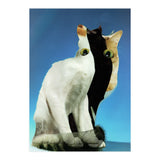KatzenJammer 13 (Print Only) thumbnail