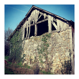 14 Fb156 B 6832 4 Ef7 9846 7817 Eea32976 (Print Only) thumbnail