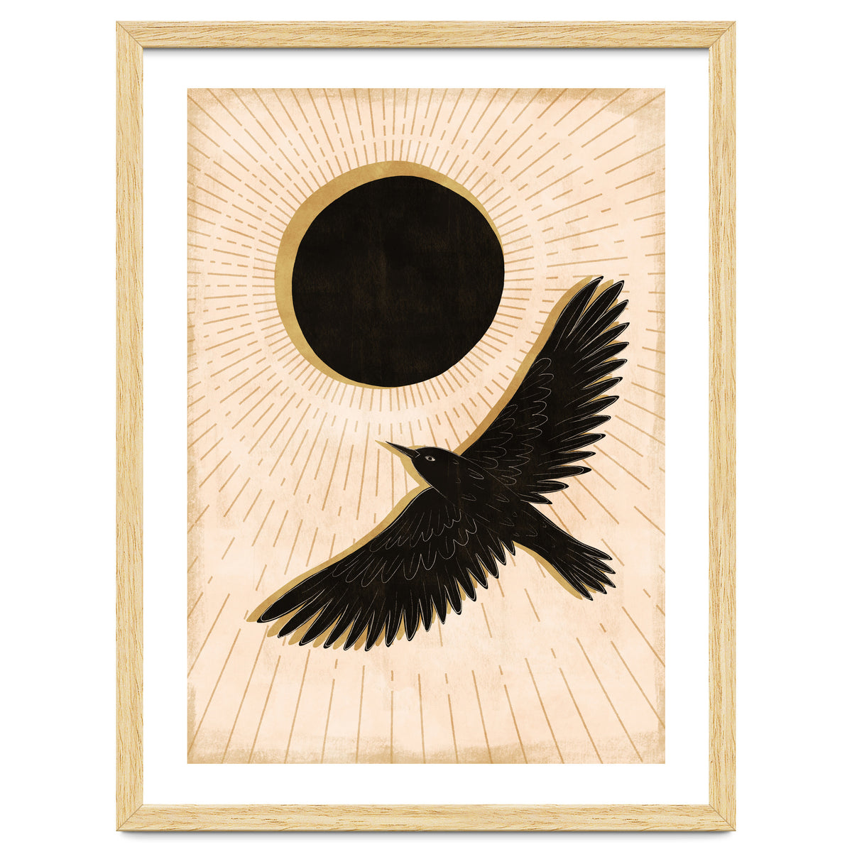 Raven And A Black Sun