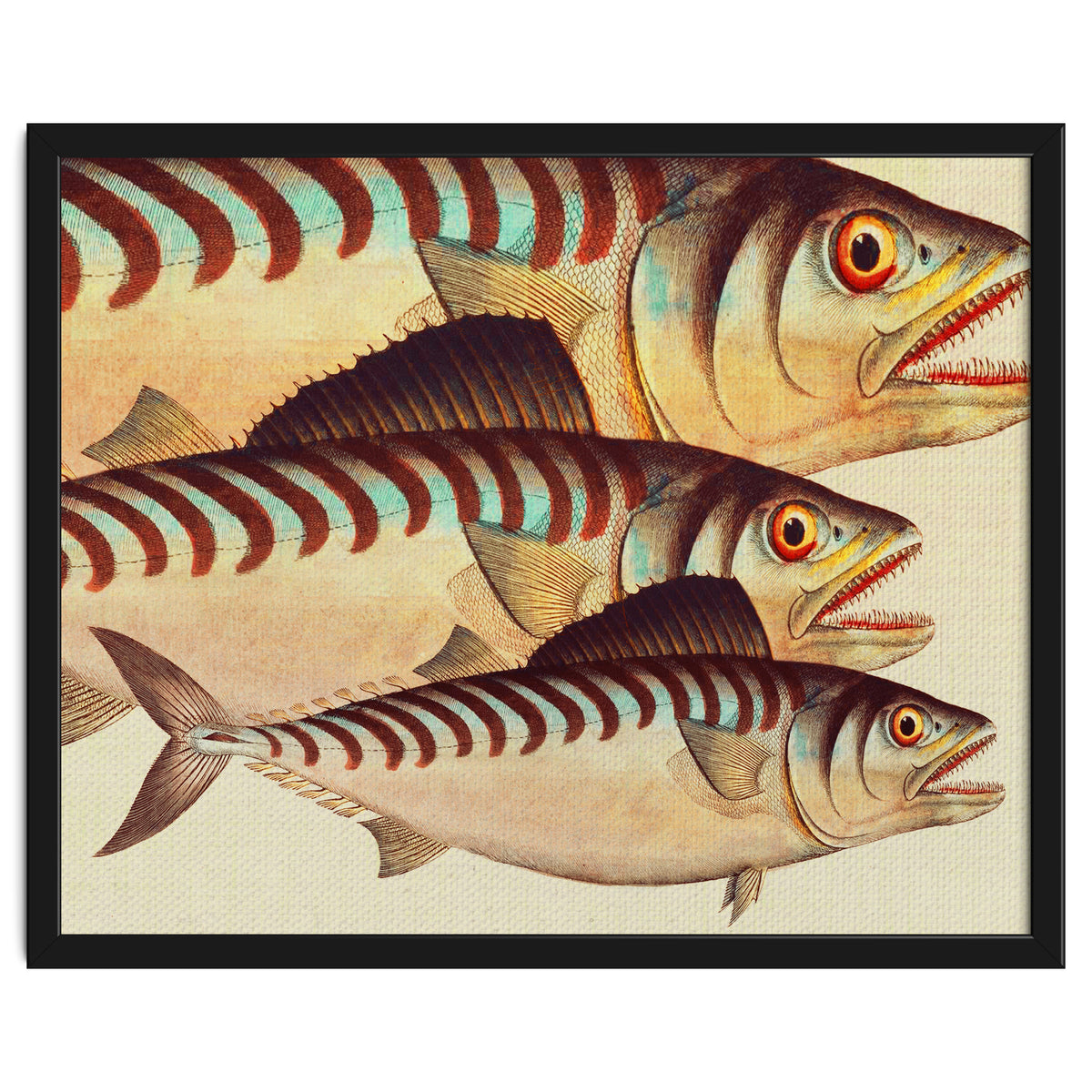 Fish Classic Designs 8