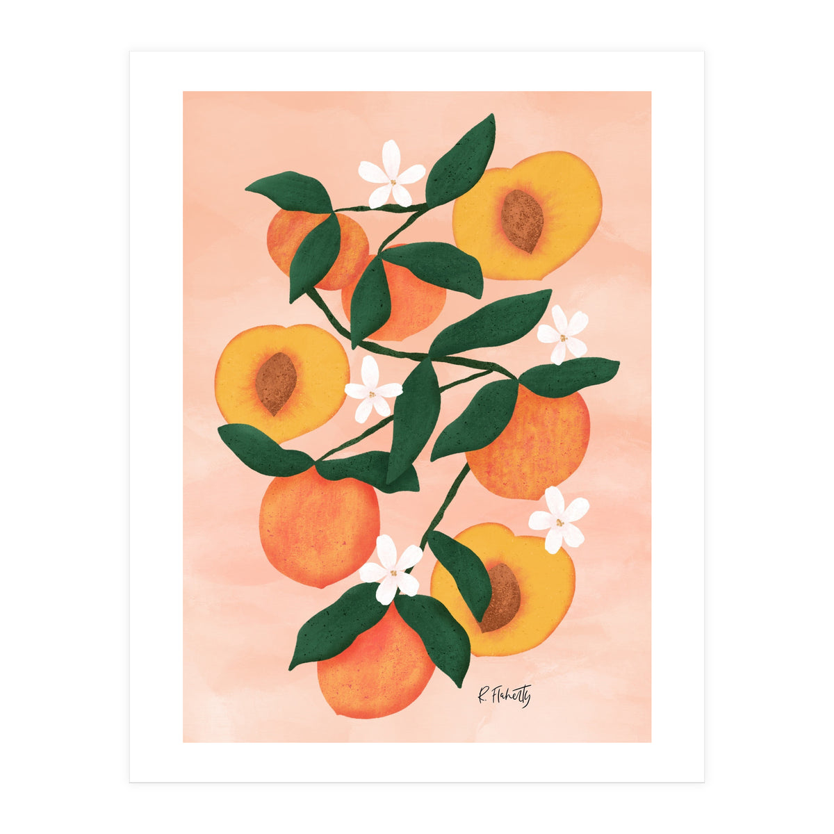 Summer Peaches (Print Only)