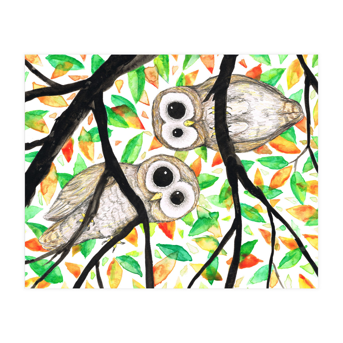 Two curious owls (Print Only)