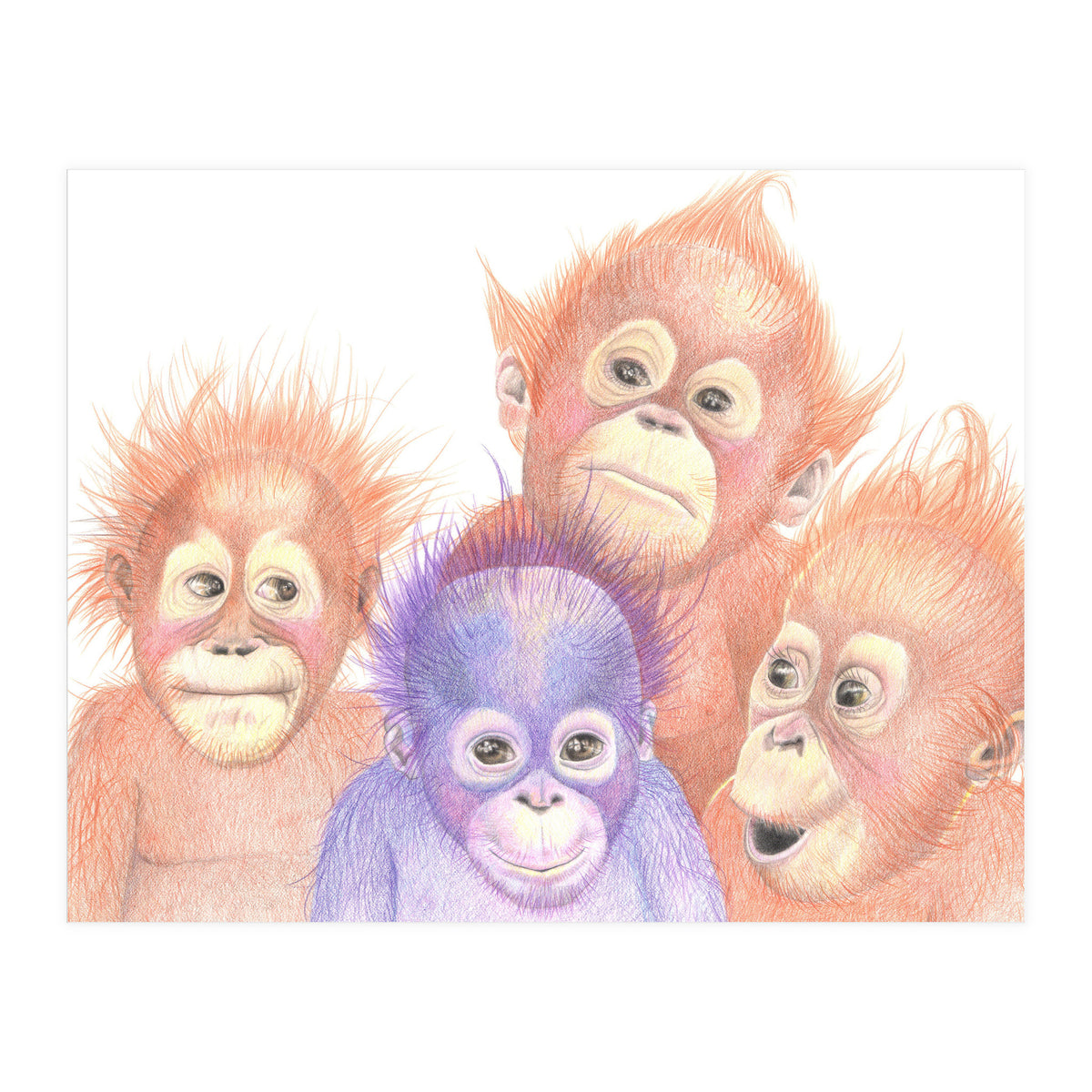 Orangutan Babies (Print Only)