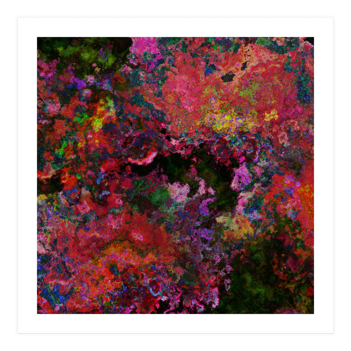 Blooms  (Print Only)