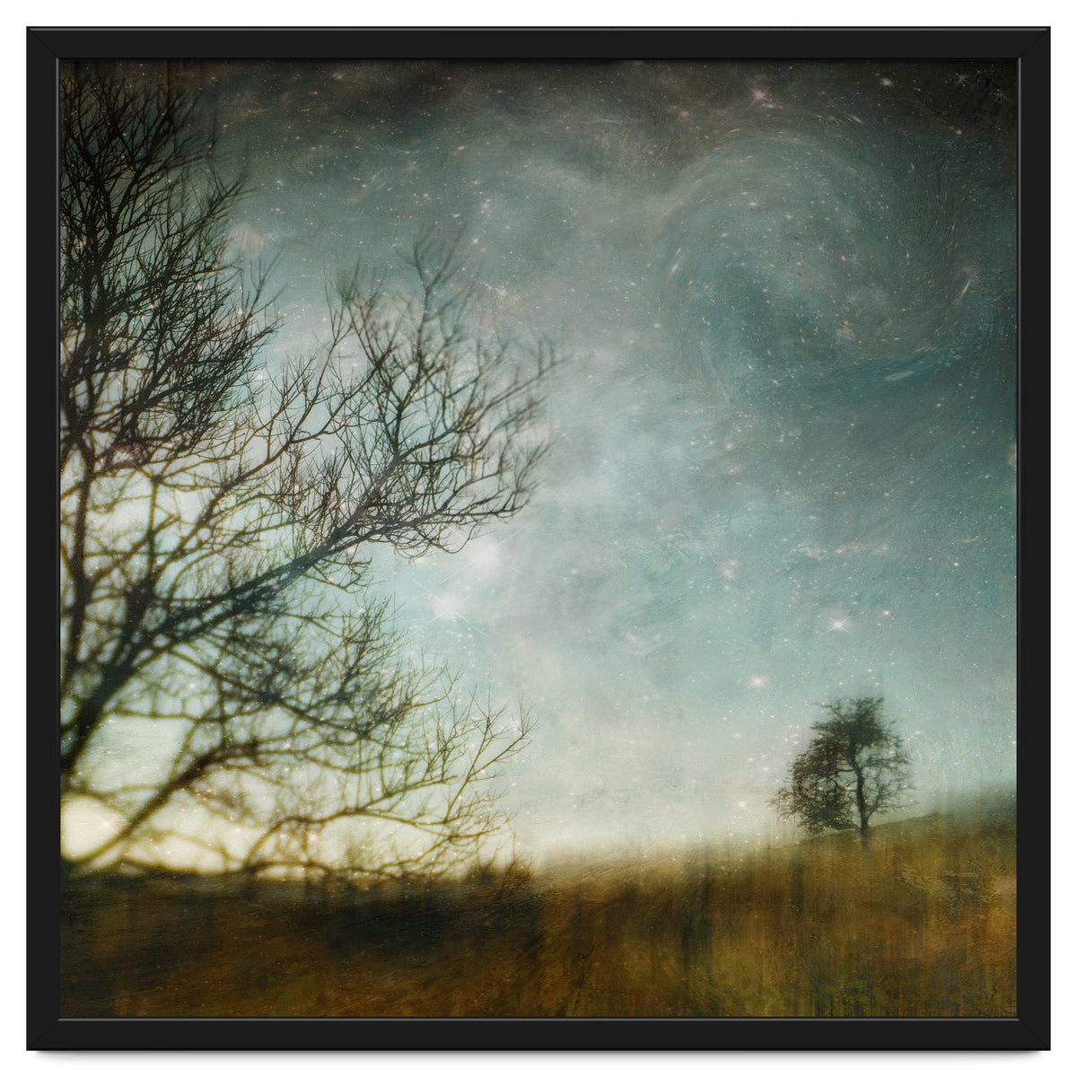 The Tree That Whispered