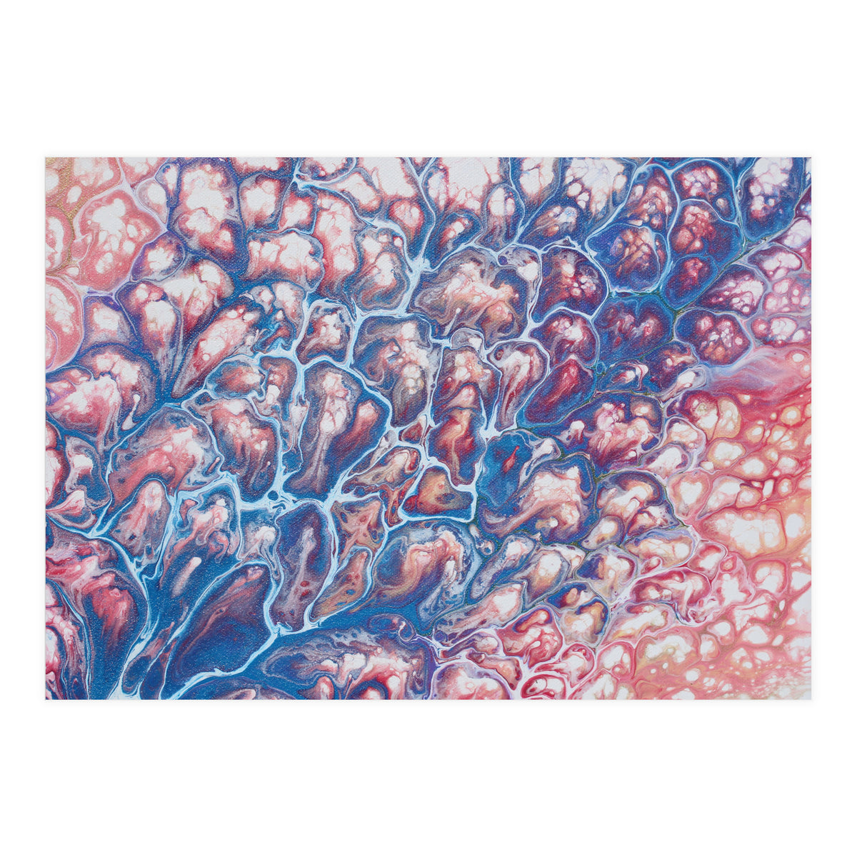 Coral Sea (Print Only)