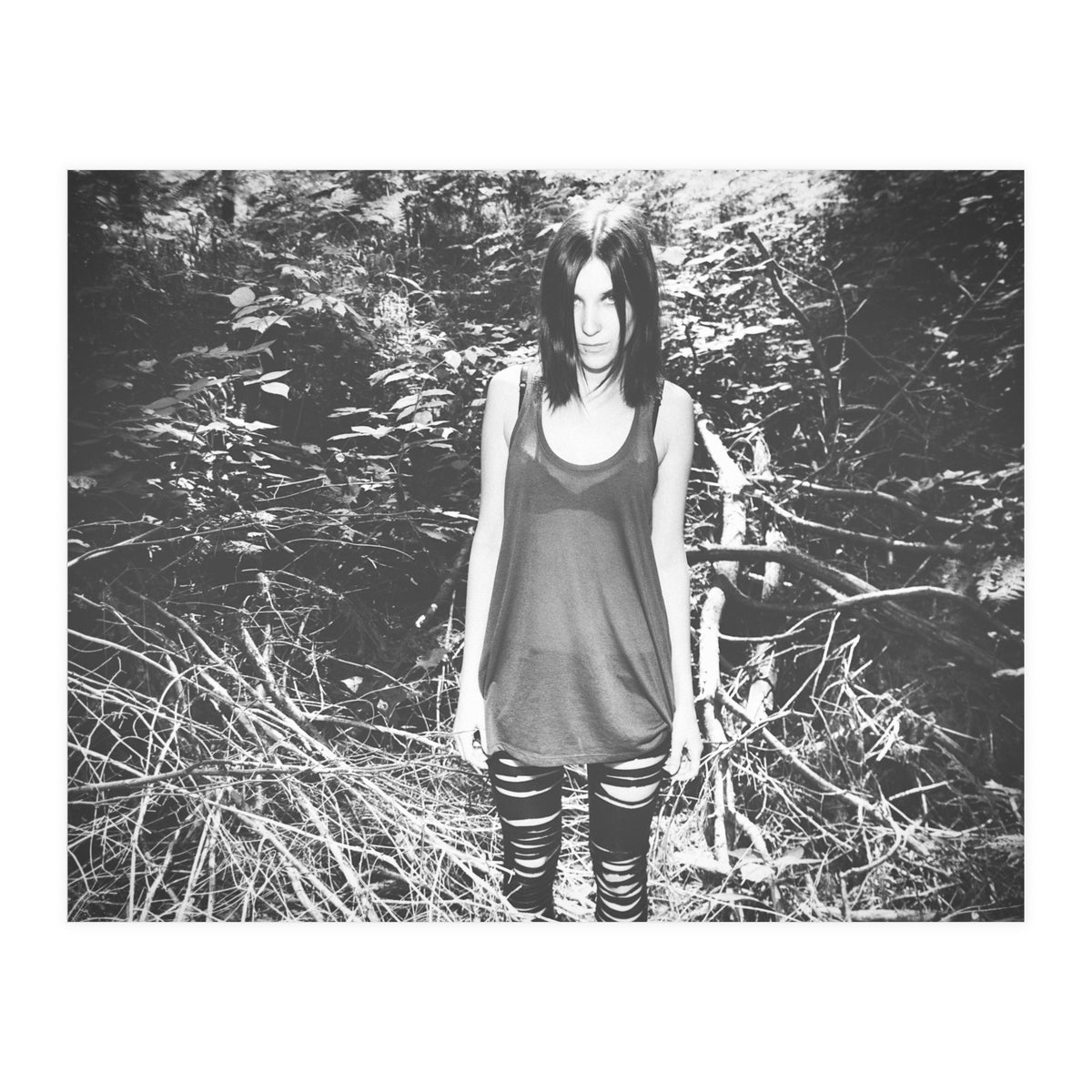 Camouflaged Animals (Print Only)