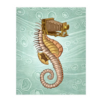 Hippocampus Camerarum (Print Only)