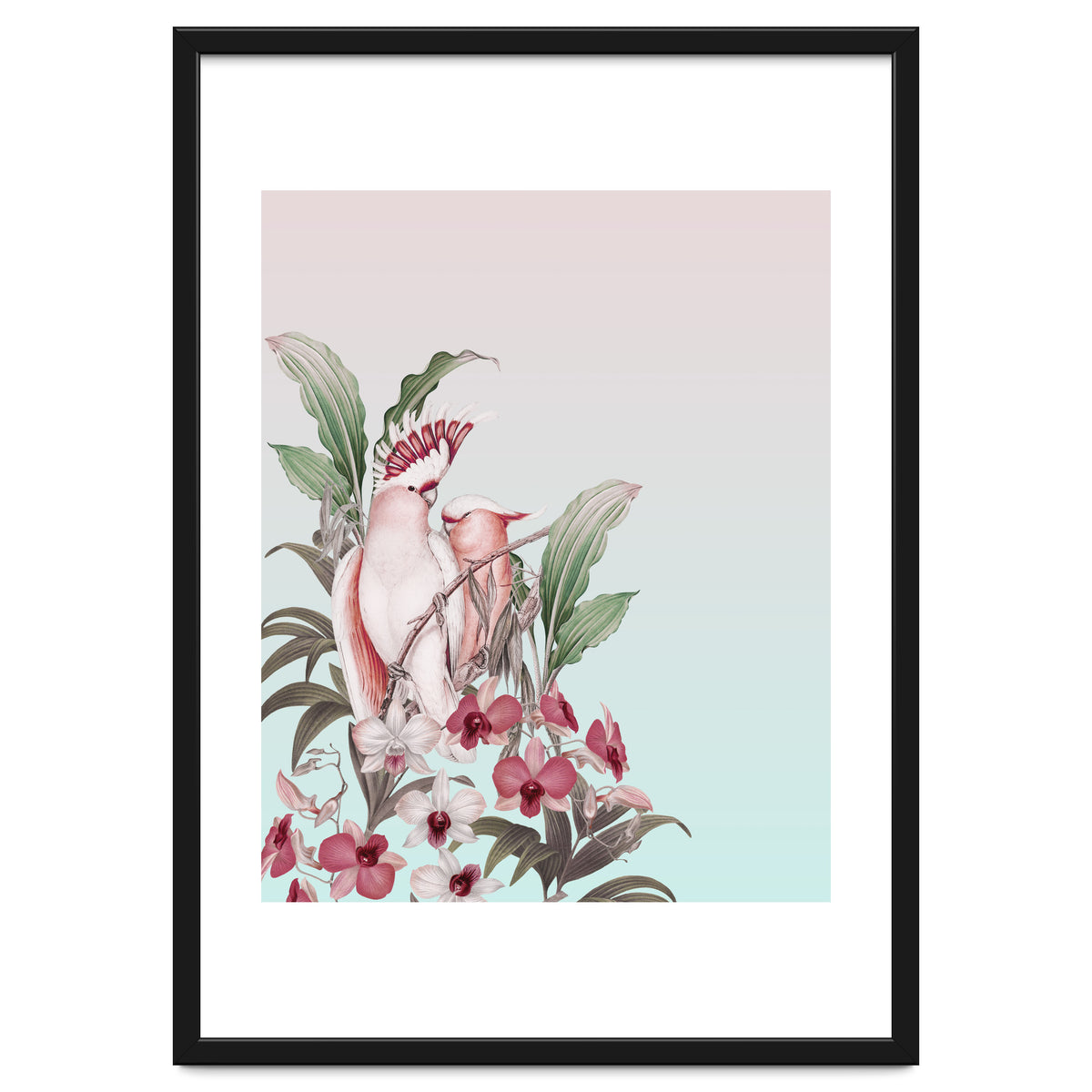 Pastel Cockatoos Paradise