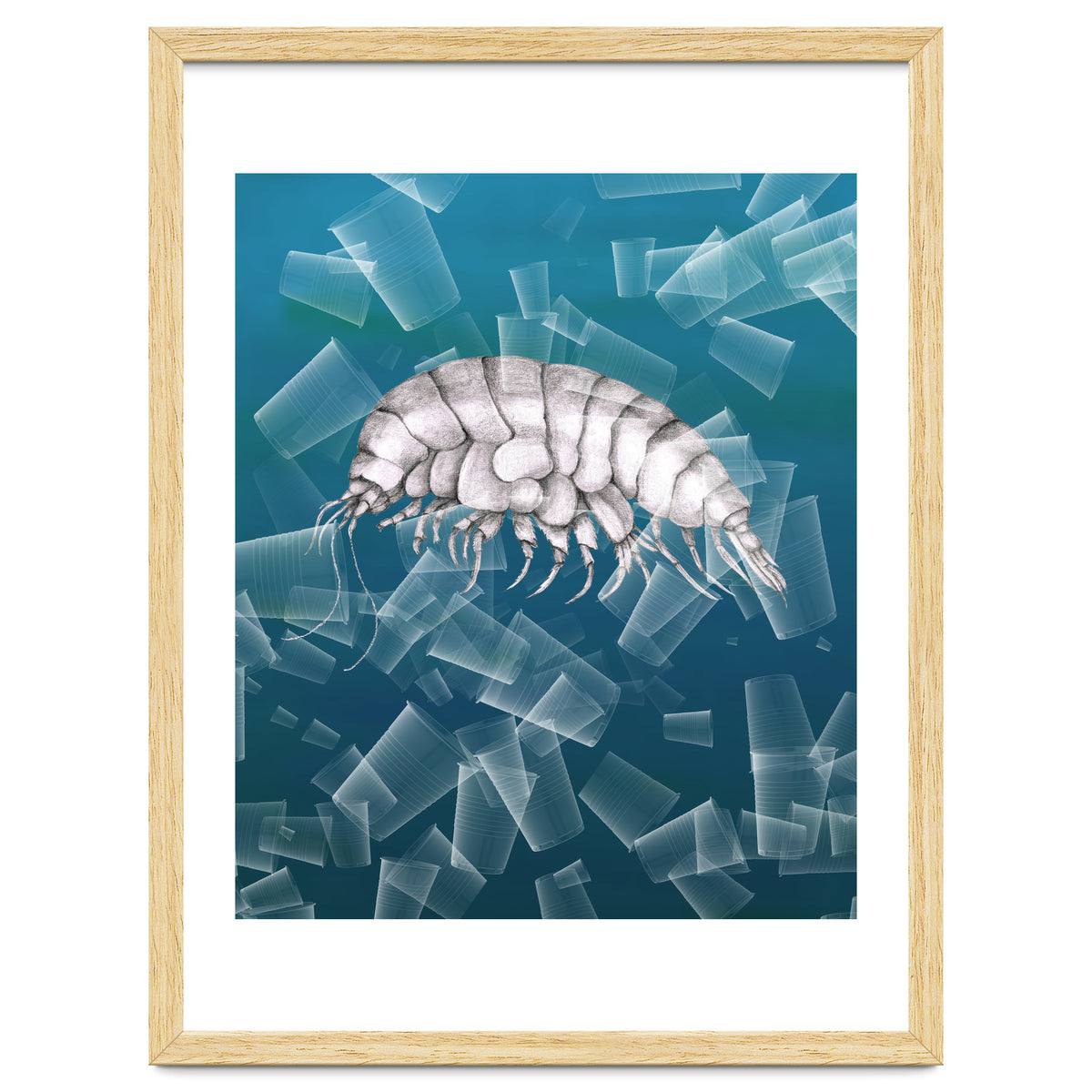 Eurythenes Plasticus