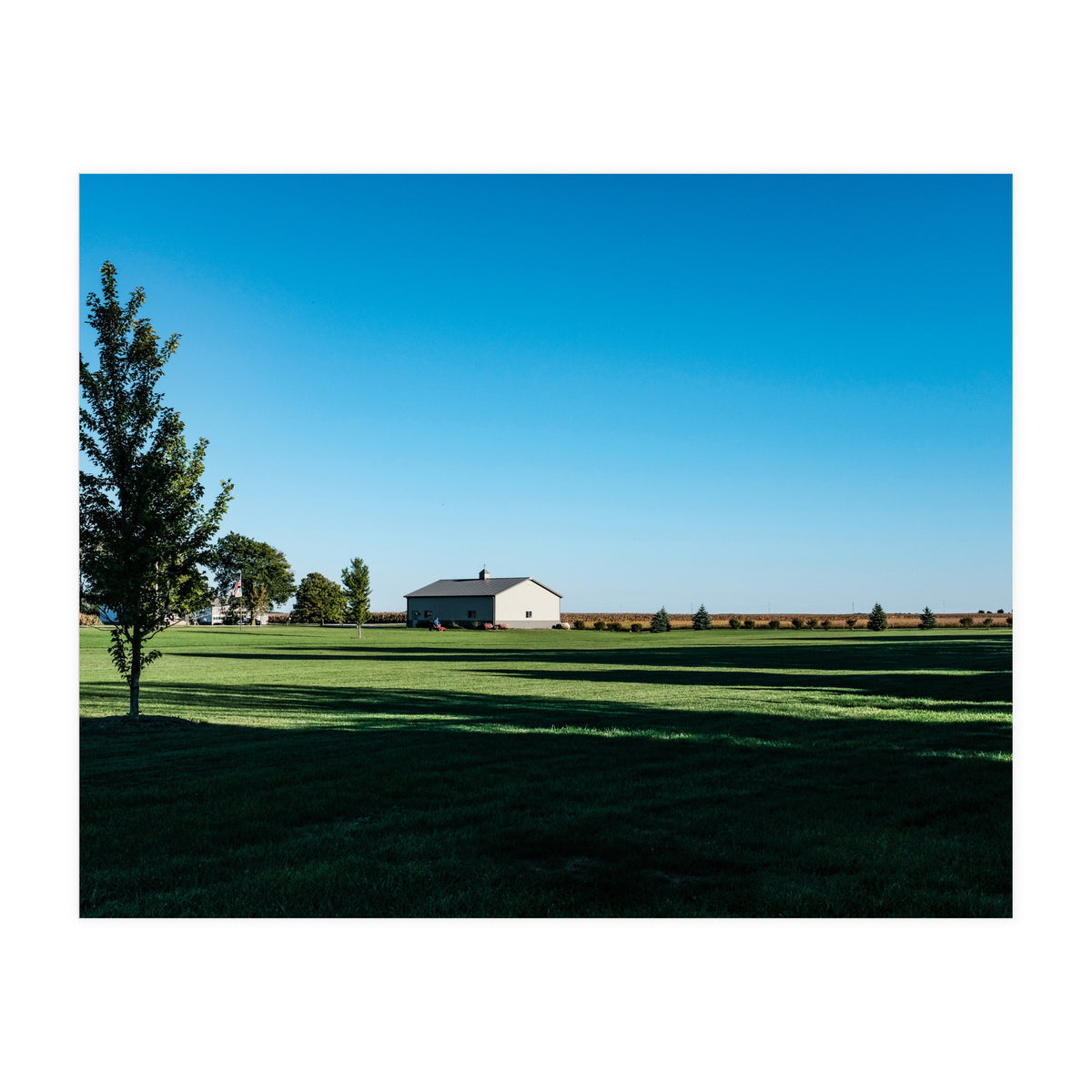 Summer evening, rural Illinois (Print Only)