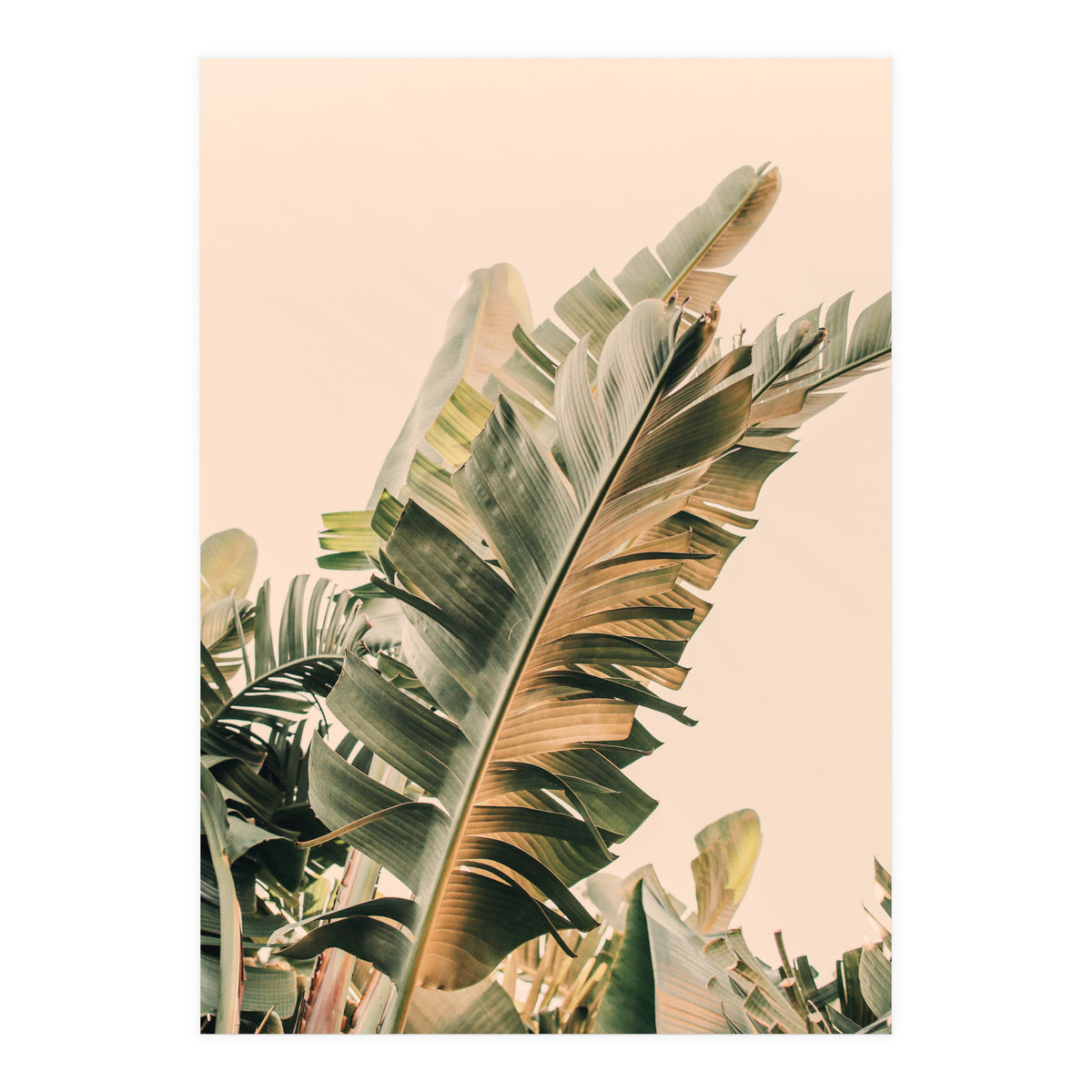 Growing Green Alicia Bock (Print Only)