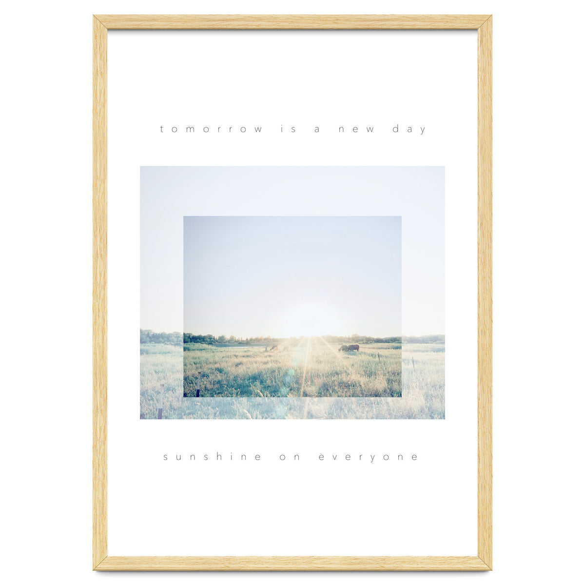 sunshine on everyone