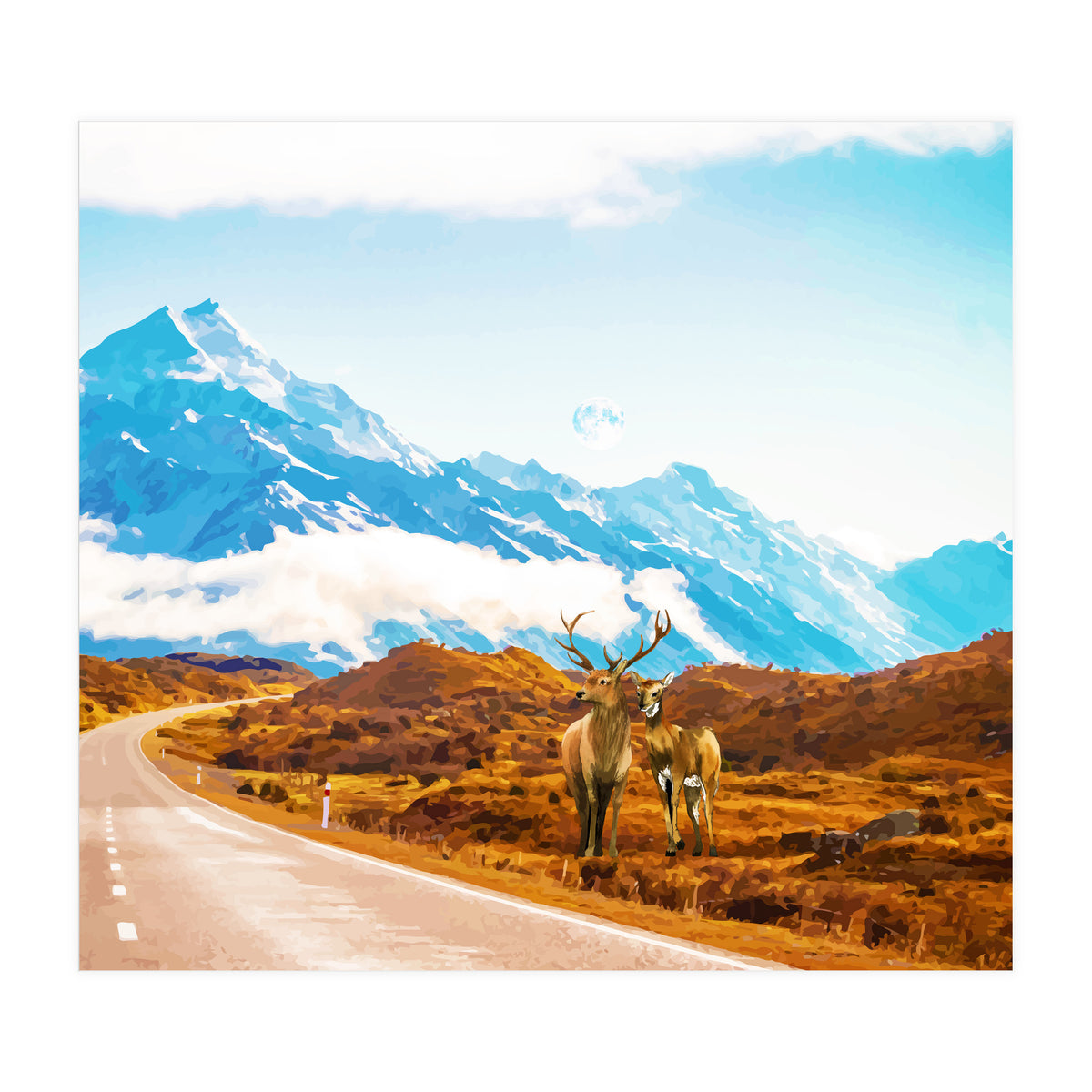 Wildlife (Print Only)