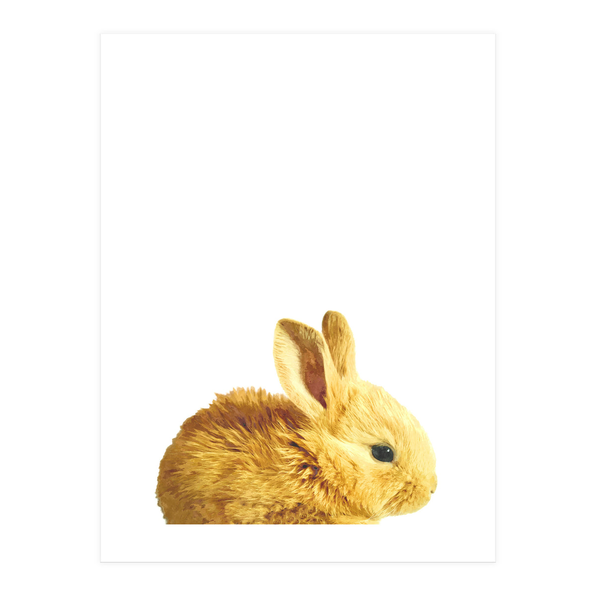 Bunny Portrait (Print Only)