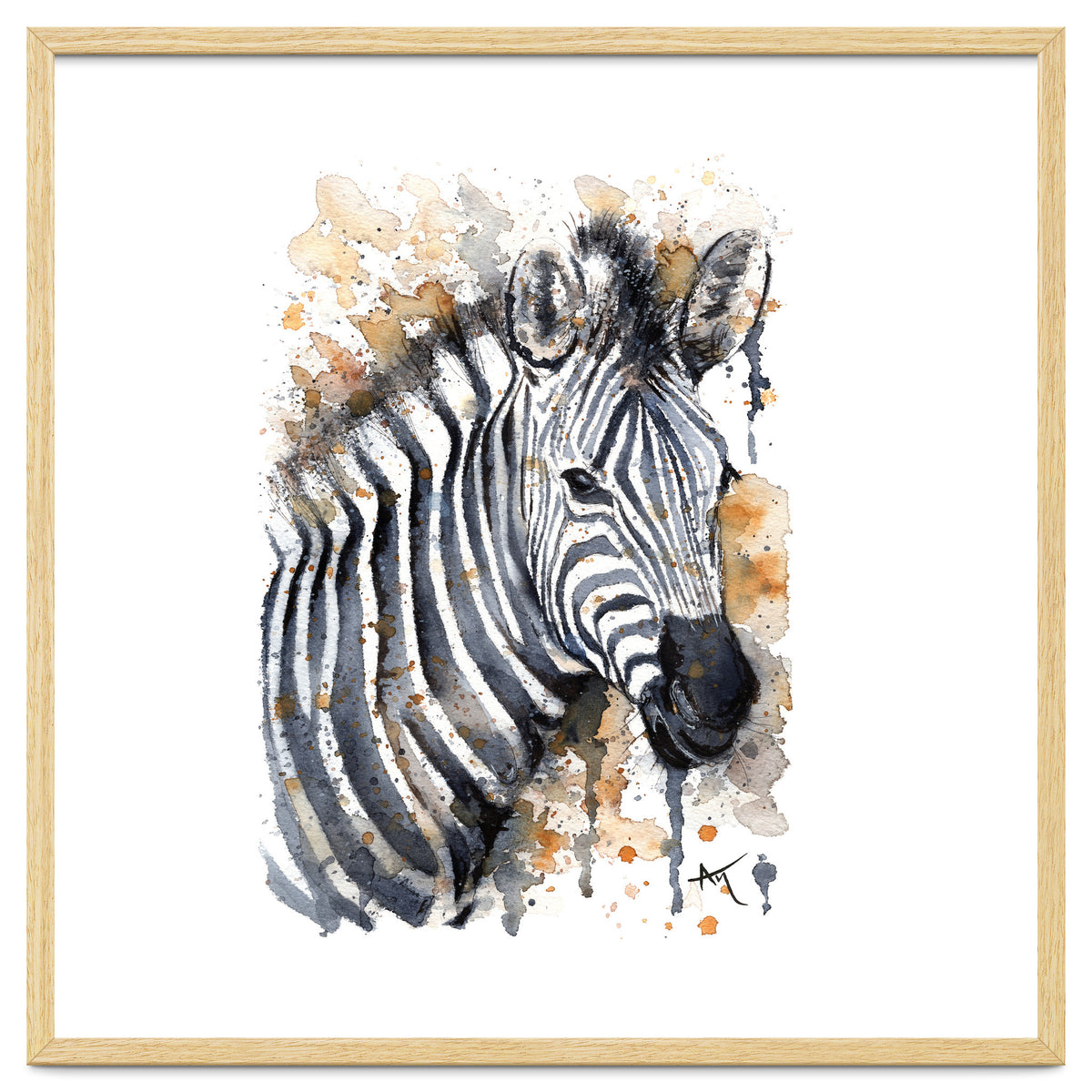 Zebra - Wildlife Collection