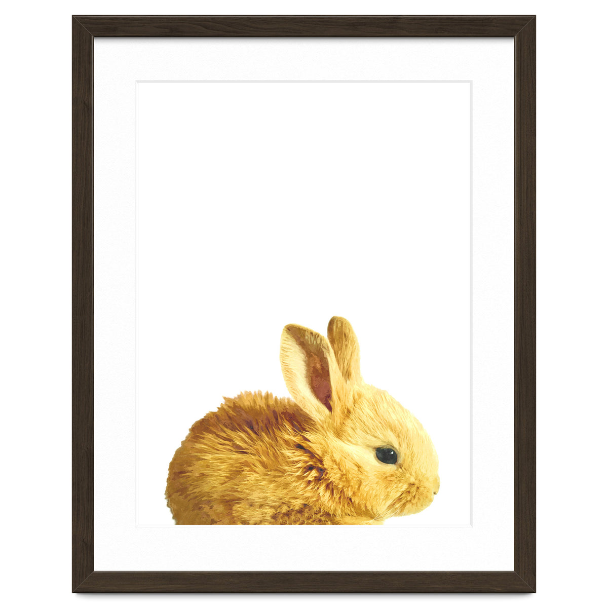 Bunny Portrait