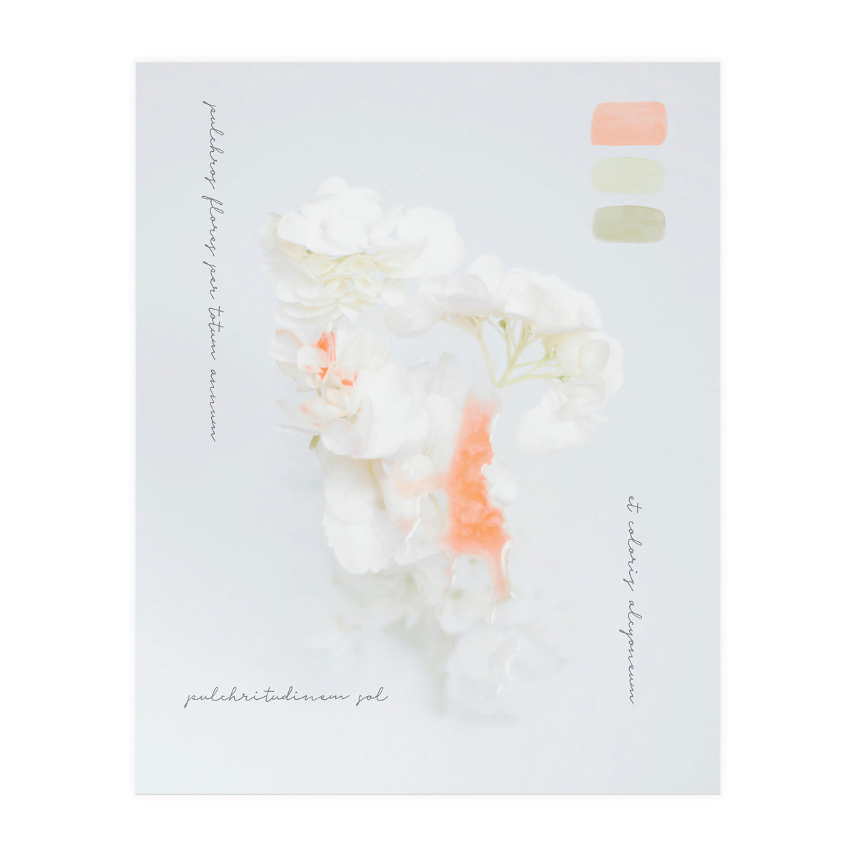 Modern Vintage Botanic (Print Only)