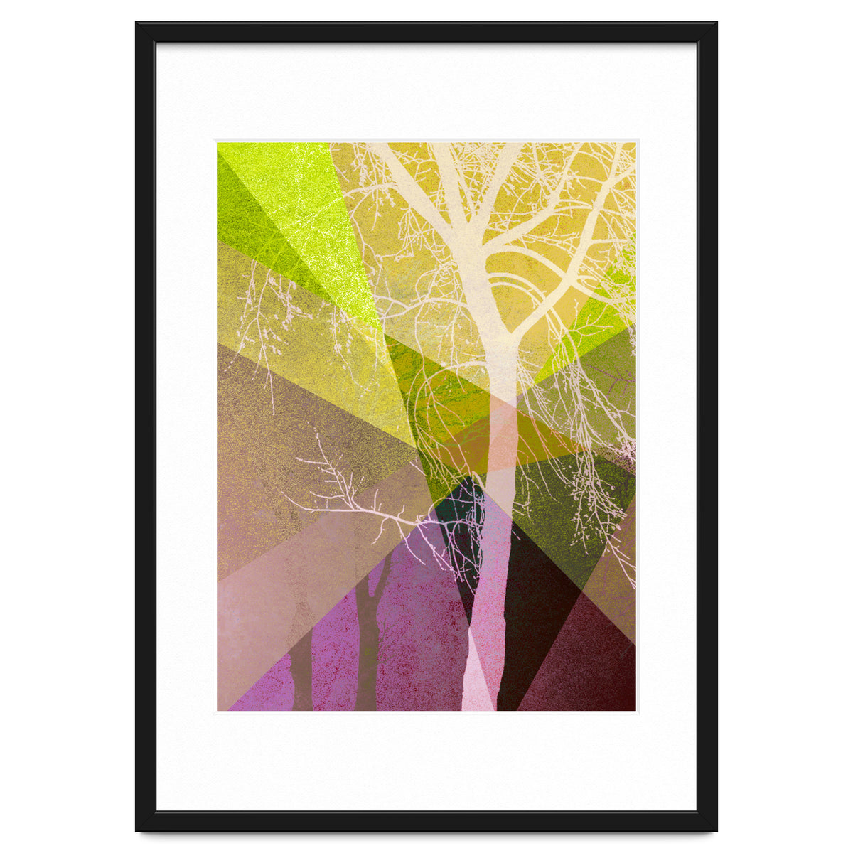 P22 A Trees And Triangles