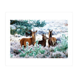 Unicorn Deer (Print Only) thumbnail