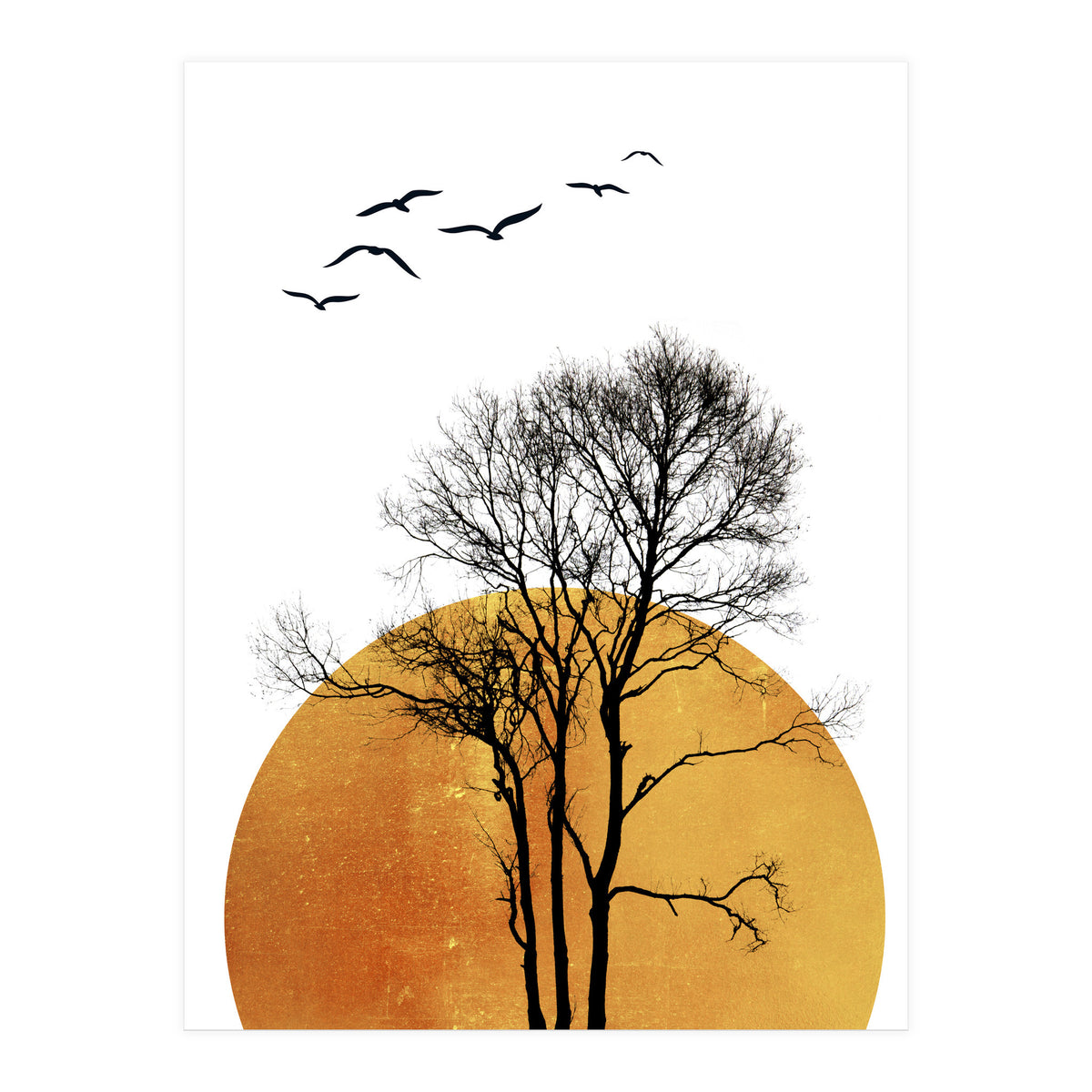 Winter Sunrise (Print Only)