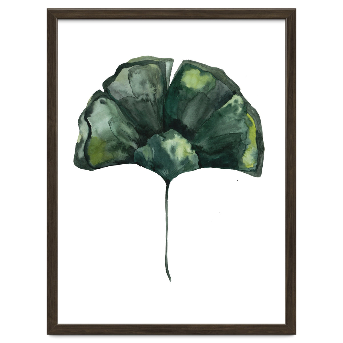 Botanical Illustration Ginko