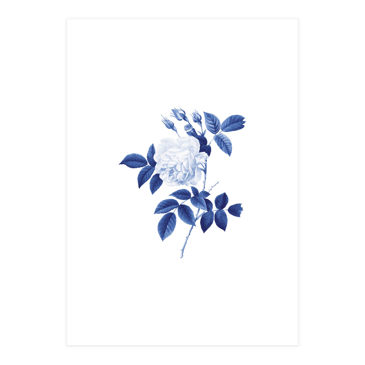 Blue Botanic II (Print Only)