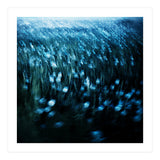 dandelion meadow (Print Only) thumbnail