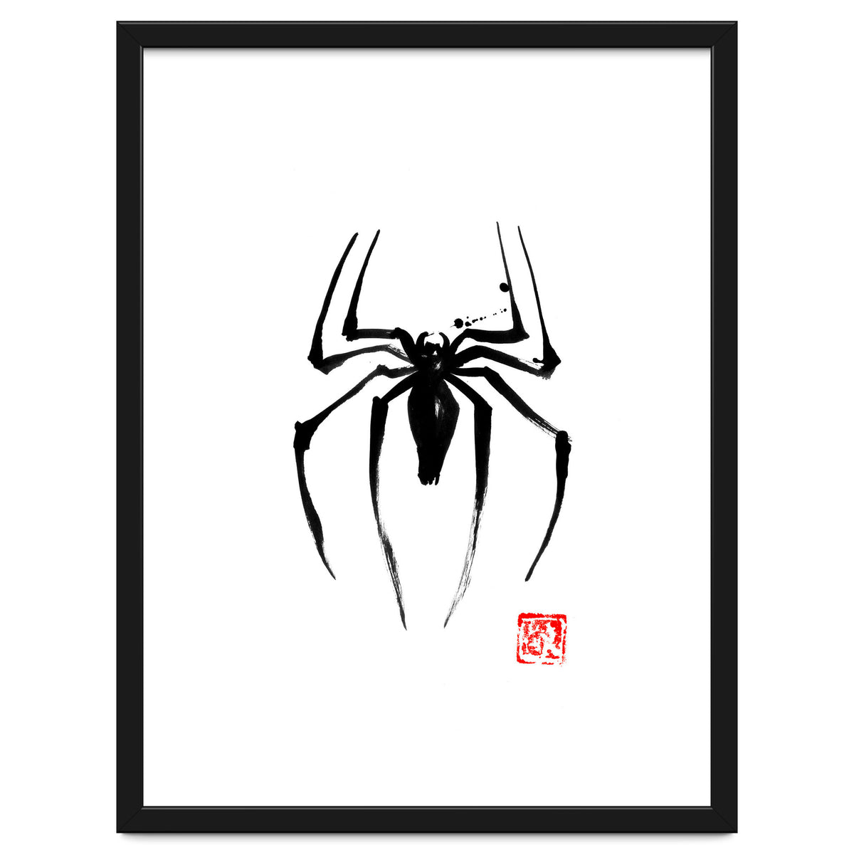 Spider