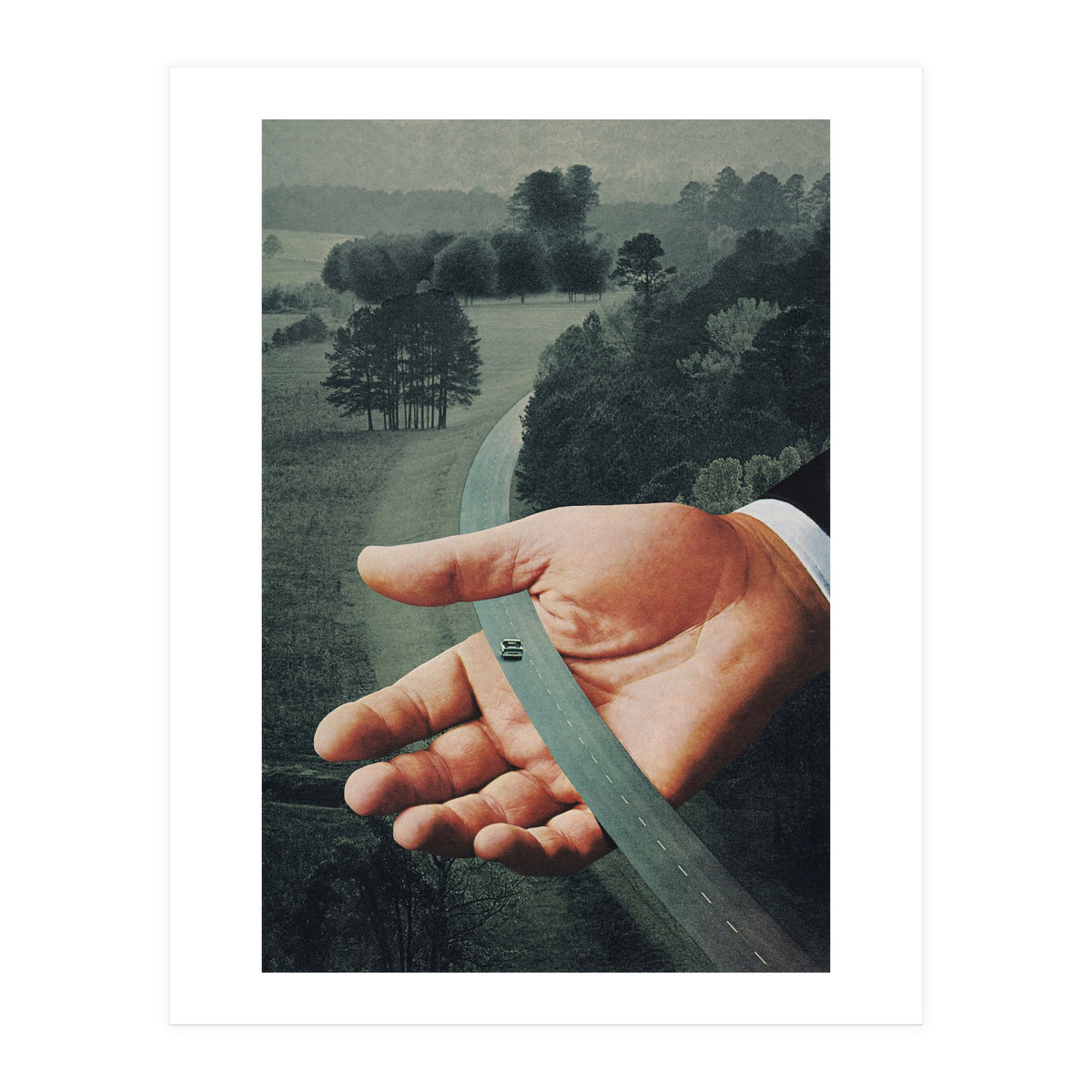 Comfort Zone (Print Only)