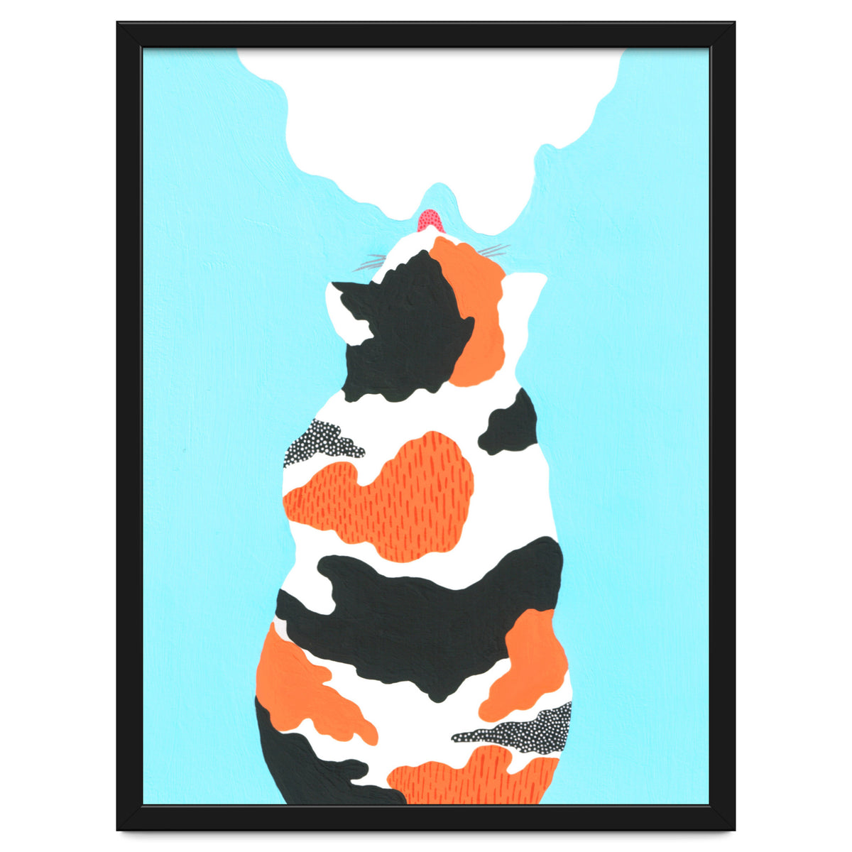 Tri Colored Calico Cat